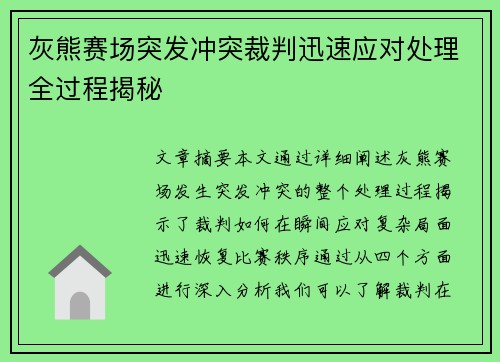 灰熊赛场突发冲突裁判迅速应对处理全过程揭秘